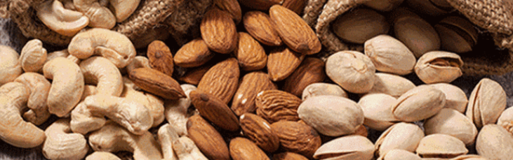 hjc888黄金城--手机版app官网