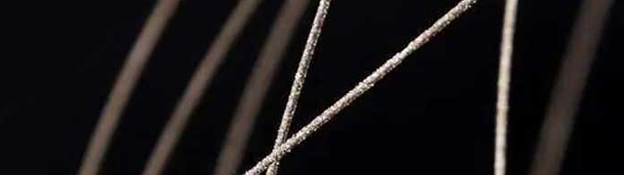 hjc888黄金城--手机版app官网