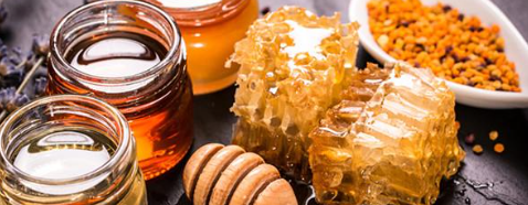 hjc888黄金城--手机版app官网