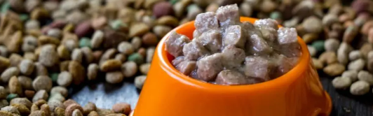 hjc888黄金城--手机版app官网