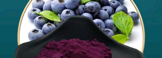 hjc888黄金城--手机版app官网