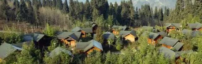 hjc888黄金城--手机版app官网