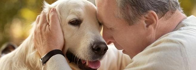 hjc888黄金城--手机版app官网