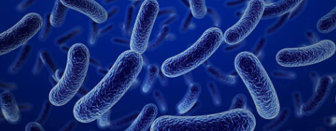 hjc888黄金城--手机版app官网