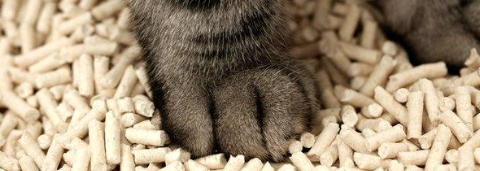 hjc888黄金城--手机版app官网