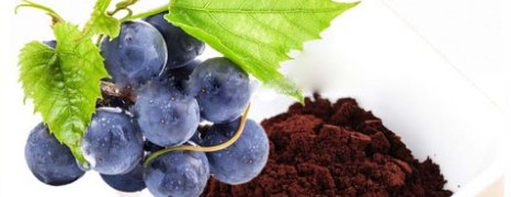 hjc888黄金城--手机版app官网