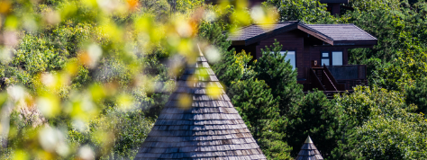 hjc888黄金城--手机版app官网