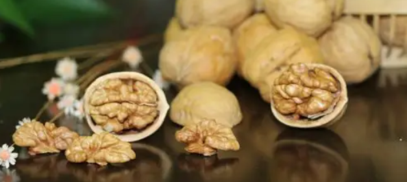 hjc888黄金城--手机版app官网