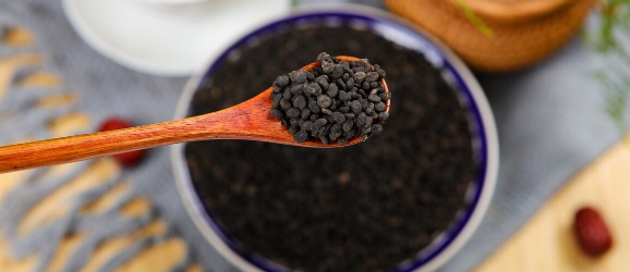 hjc888黄金城--手机版app官网