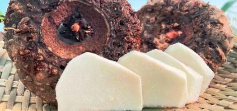 hjc888黄金城--手机版app官网