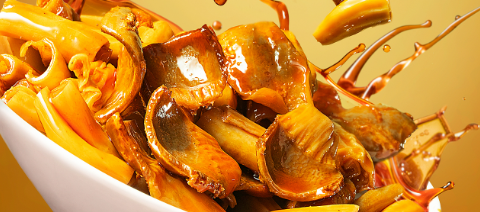 hjc888黄金城--手机版app官网