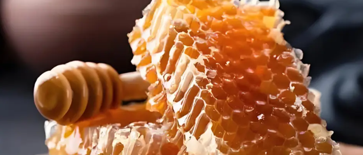 hjc888黄金城--手机版app官网