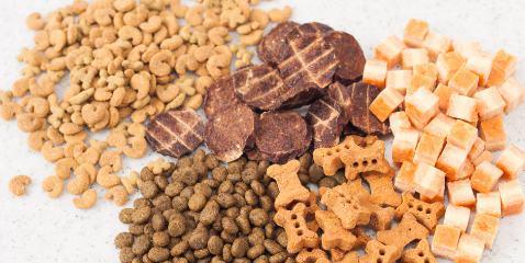 hjc888黄金城--手机版app官网