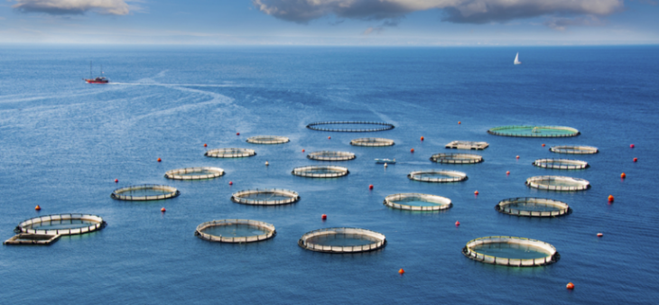 hjc888黄金城--手机版app官网