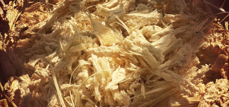 hjc888黄金城--手机版app官网