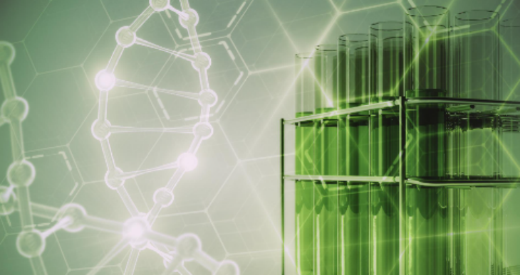 hjc888黄金城--手机版app官网