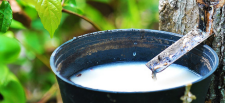 hjc888黄金城--手机版app官网