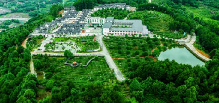 hjc888黄金城--手机版app官网