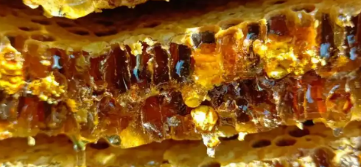 hjc888黄金城--手机版app官网