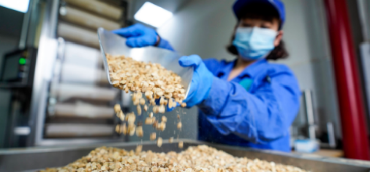 hjc888黄金城--手机版app官网