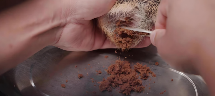 hjc888黄金城--手机版app官网