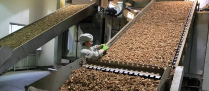 hjc888黄金城--手机版app官网