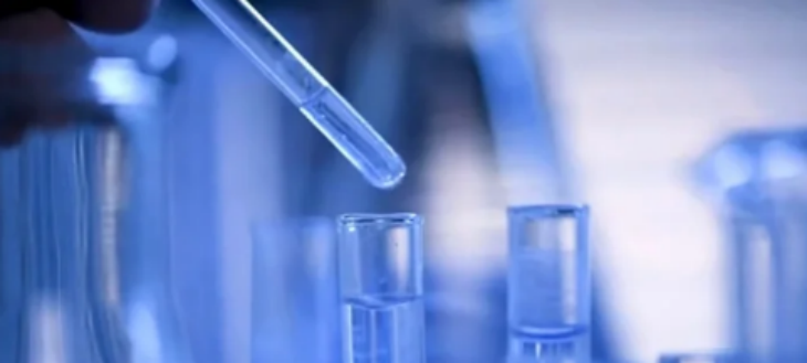 hjc888黄金城--手机版app官网