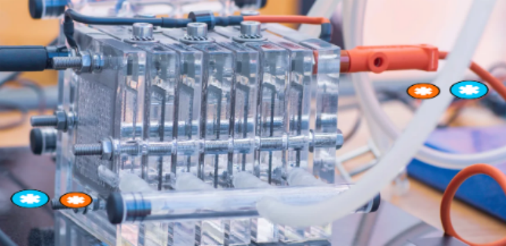 hjc888黄金城--手机版app官网