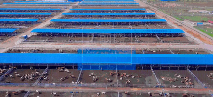 hjc888黄金城--手机版app官网