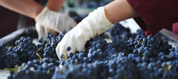 hjc888黄金城--手机版app官网