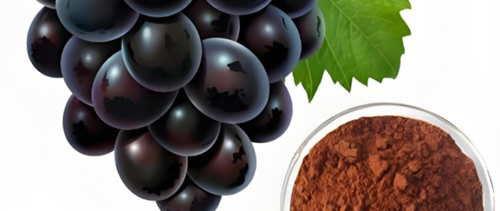 hjc888黄金城--手机版app官网