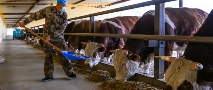 hjc888黄金城--手机版app官网