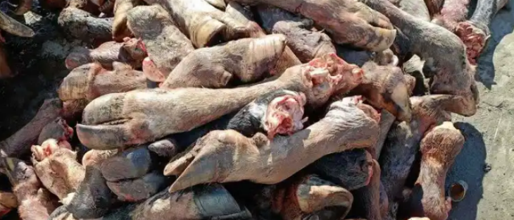 hjc888黄金城--手机版app官网