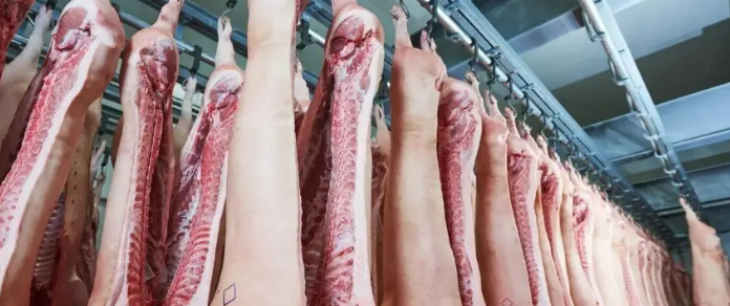 hjc888黄金城--手机版app官网