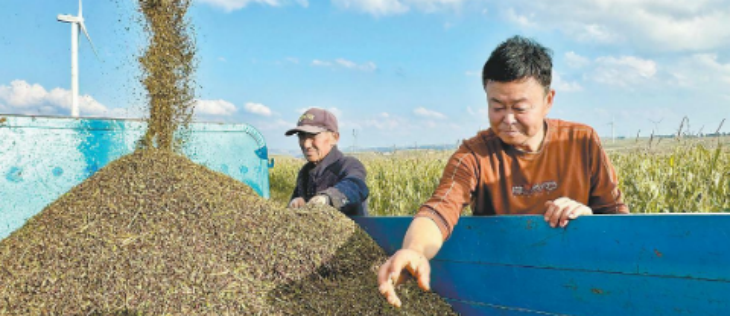 hjc888黄金城--手机版app官网