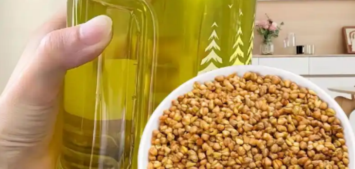 hjc888黄金城--手机版app官网