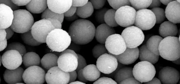 hjc888黄金城--手机版app官网