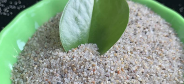 hjc888黄金城--手机版app官网