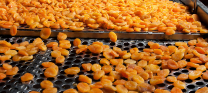 hjc888黄金城--手机版app官网