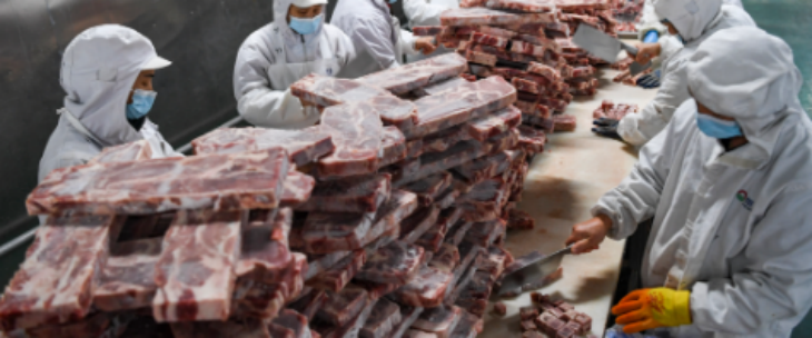 hjc888黄金城--手机版app官网