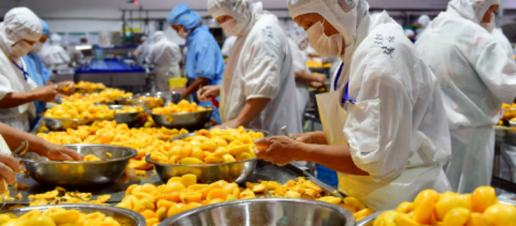 hjc888黄金城--手机版app官网