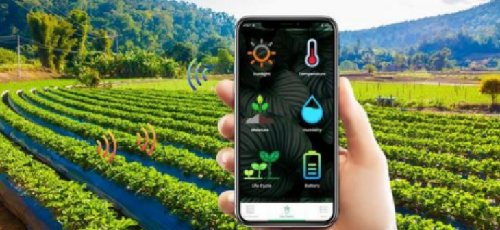 hjc888黄金城--手机版app官网