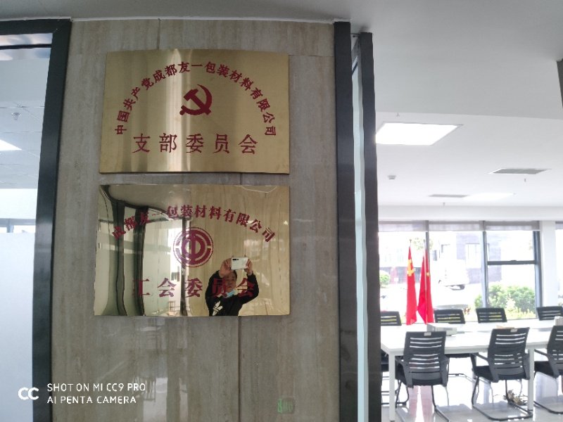 热烈祝贺Z6尊龙凯时集团成都分公司党支部在2020年3月11日授牌成立，支部书记曹云(行政部经理)